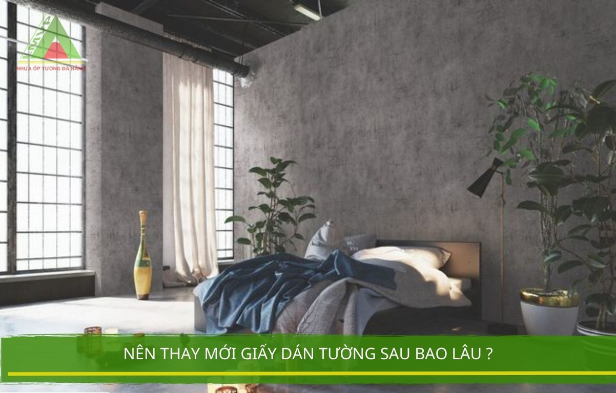 Nên Thay Mới Giấy Dán Tường Sau Bao Lâu ?