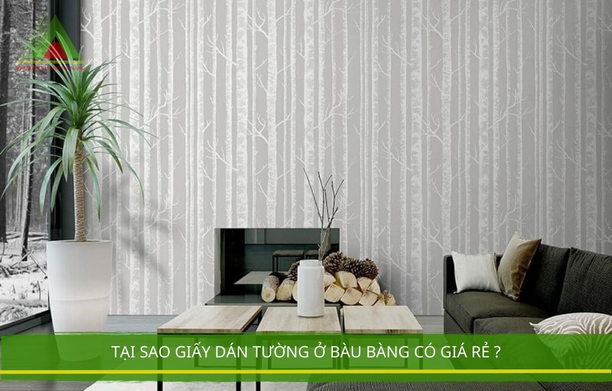 Tại Sao Giấy Dán Tường Ở Bàu Bàng Có Giá Rẻ ?